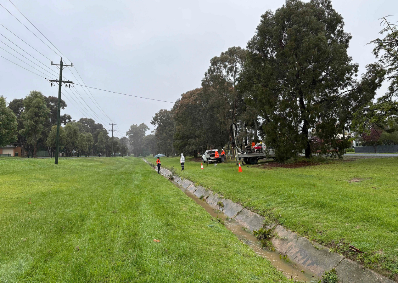 Back Creek project area - current conditions