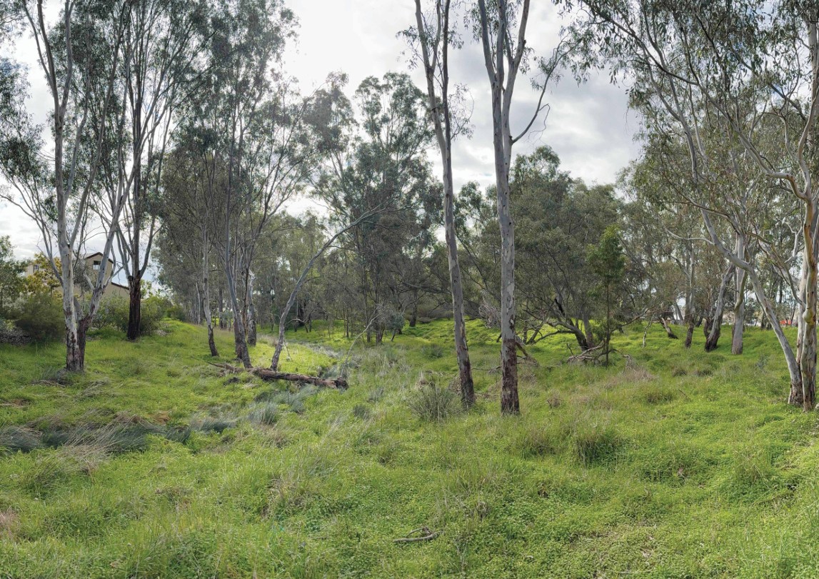 Gateway Park project area - current conditions