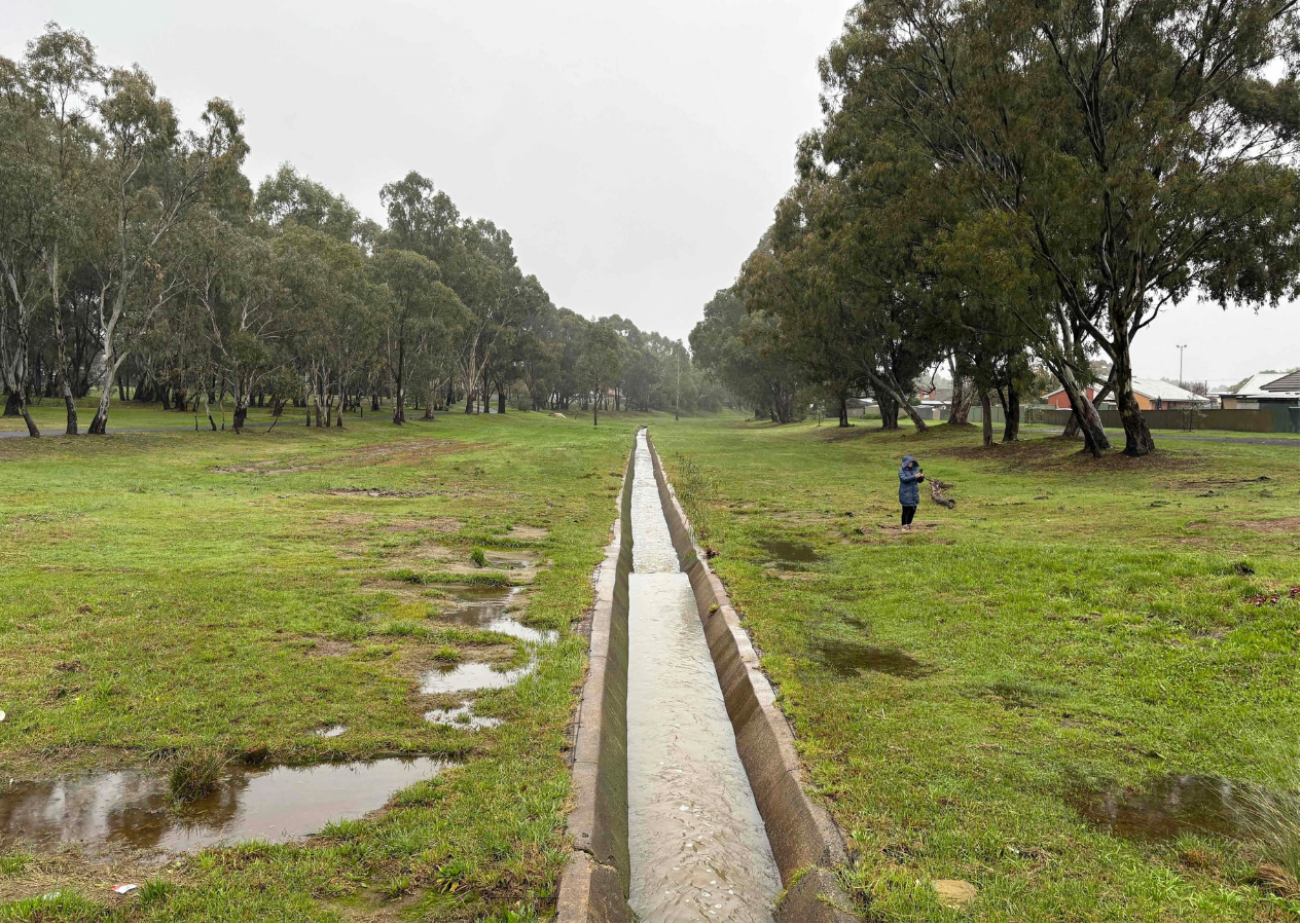 Bendigo Creek (Bay Street) project area - current conditions