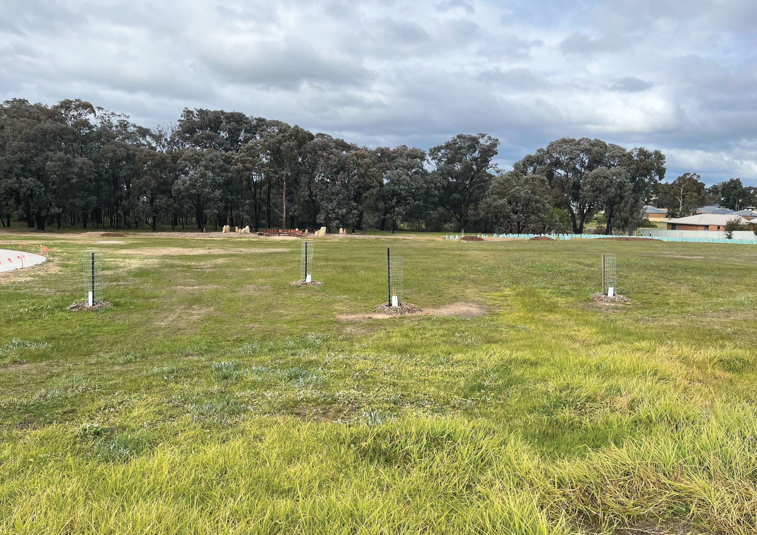 Ironbark Gully project area - current conditions