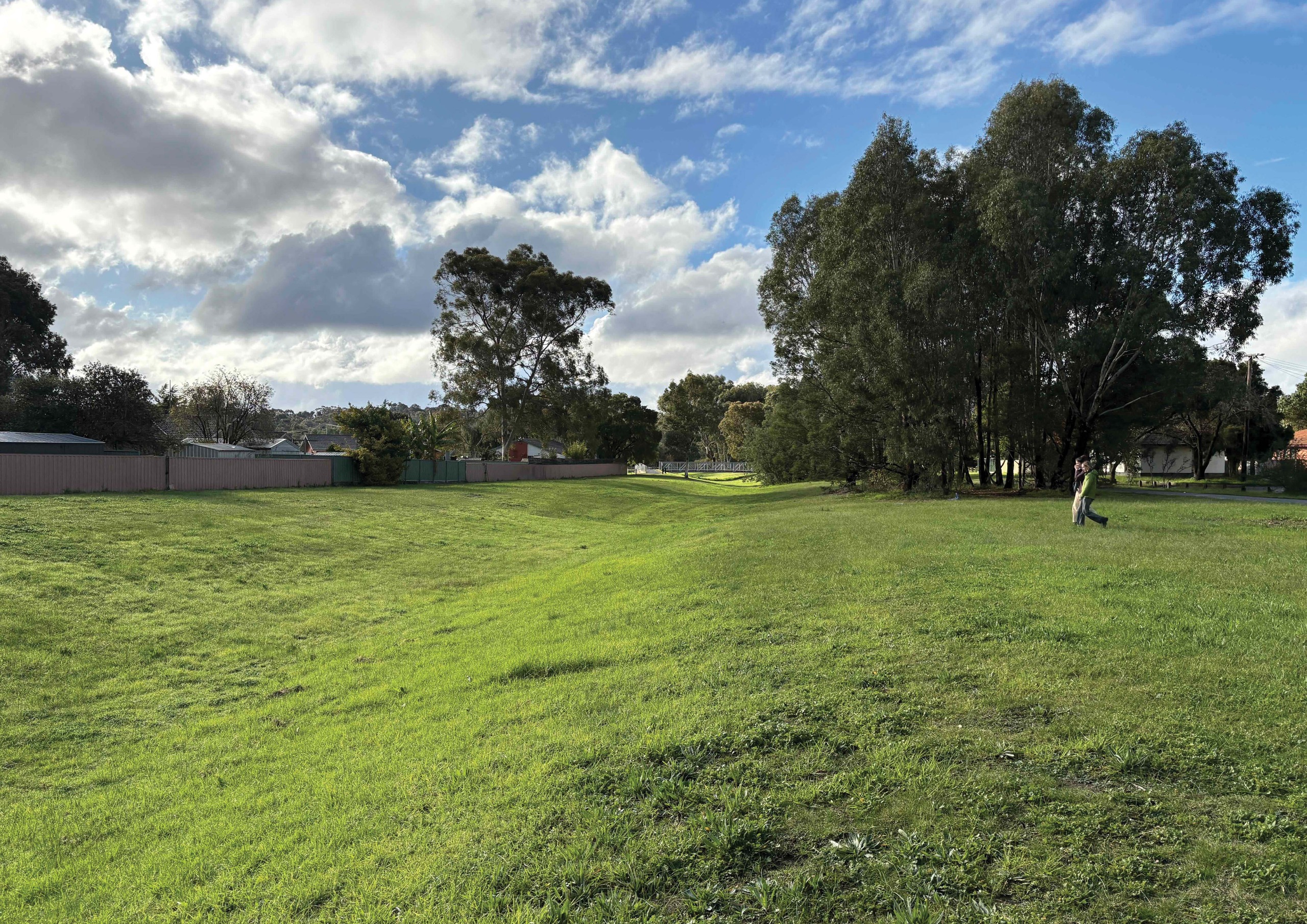 Long Gully project area - Before 